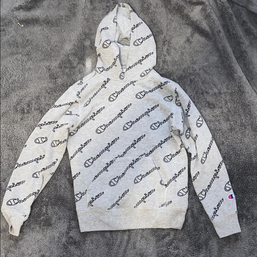Gray reverse weave champion hoodie